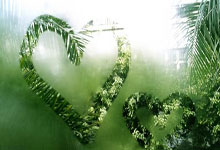 足球盛宴再度上演，越战越勇势不可挡，团结合作的简单介绍